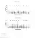 Fig. 05 - SMALL-MOLECULE BINDING SITE ON PRO-APOPTOTIC BAX REGULATES INHIBITION OF BAX ACTIVITY