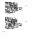 Fig. 08 - SMALL-MOLECULE BINDING SITE ON PRO-APOPTOTIC BAX REGULATES INHIBITION OF BAX ACTIVITY
