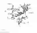 Fig. 11 - SMALL-MOLECULE BINDING SITE ON PRO-APOPTOTIC BAX REGULATES INHIBITION OF BAX ACTIVITY