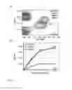 Fig. 13 - SMALL-MOLECULE BINDING SITE ON PRO-APOPTOTIC BAX REGULATES INHIBITION OF BAX ACTIVITY