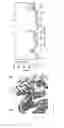 Fig. 15 - SMALL-MOLECULE BINDING SITE ON PRO-APOPTOTIC BAX REGULATES INHIBITION OF BAX ACTIVITY