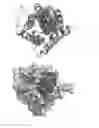 Fig. 17 - SMALL-MOLECULE BINDING SITE ON PRO-APOPTOTIC BAX REGULATES INHIBITION OF BAX ACTIVITY
