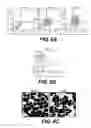 Fig. 18 - Production of red blood cells and platelets from stem cells