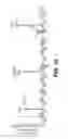 Fig. 28 - Production of red blood cells and platelets from stem cells