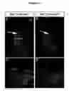 Fig. 02 - METHODS FOR PRODUCING DOPAMINERGIC NEURONS AND USES THEREOF