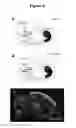 Fig. 06 - METHODS FOR PRODUCING DOPAMINERGIC NEURONS AND USES THEREOF