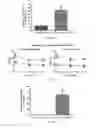 Fig. 06 - ENGINEERED STEM CELL THERAPY FOR CARDIAC REPAIR