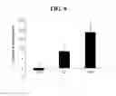 Fig. 09 - Composition for enhancing male sex hormone and men's health