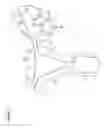Fig. 02 - Recovery and processing of human embryos formed in vivo