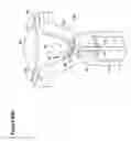 Fig. 86 - Recovery and processing of human embryos formed in vivo