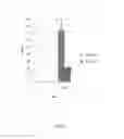 Fig. 03 - ANTI-INFLAMMATORY PEPTIDES