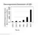 Fig. 05 - Use of SLURP1 as an imunomodulatory molecule in the ocular surface