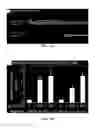 Fig. 09 - Use of SLURP1 as an imunomodulatory molecule in the ocular surface
