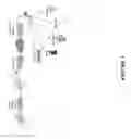 Fig. 02 - Preservation and reconstitution of cell-free protein expression systems