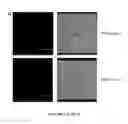 Fig. 02 - Group A Streptococcus Pharmaceutical Compositions and Methods Thereof
