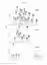 Fig. 09 - Methods and compositions for immunization against virus