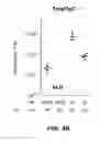 Fig. 06 - Immunogenic Composition and Methods of Using the Compositions for Inducing Humoral and Cellular Immune Responses