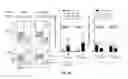Fig. 07 - Immunogenic Composition and Methods of Using the Compositions for Inducing Humoral and Cellular Immune Responses