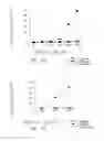 Fig. 06 - Vaccine composition containing synthetic adjuvant