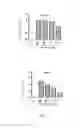 Fig. 09 - Vaccine composition containing synthetic adjuvant