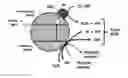 Fig. 01 - Nanoparticle therapy in cancer