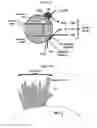 Fig. 02 - Nanoparticle therapy in cancer