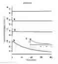 Fig. 06 - Nanoparticle therapy in cancer