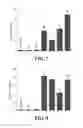 Fig. 05 - Halogenated compounds for photodynamic therapy
