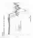 Fig. 07 - Pharmaceutical formulations