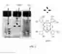 Fig. 07 - Star polymer nanoshells and methods of preparation thereof