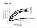 Fig. 07 - HMGB1-BINDING BEADS AND USES THEREOF