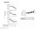 Fig. 11 - HMGB1-BINDING BEADS AND USES THEREOF