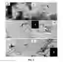 Fig. 06 - Multicomponent and biocompatible nanocomposite materials, methods of synthesizing same and applications of same
