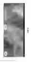Fig. 07 - Multicomponent and biocompatible nanocomposite materials, methods of synthesizing same and applications of same