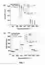 Fig. 09 - Multicomponent and biocompatible nanocomposite materials, methods of synthesizing same and applications of same