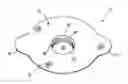 Fig. 01 - Tracheostoma plaster