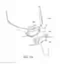 Fig. 41 - Patient interface
