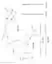 Fig. 24 - CANTILEVER ELECTRODES FOR TRANSDERMAL AND TRANSCRANIAL STIMULATION
