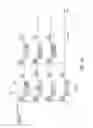 Fig. 06 - Stimulation patterns for a visual prosthesis
