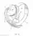 Fig. 07 - Visual prosthetic apparatus for retinal stimulation