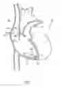 Fig. 02 - COMMUNICATIONS SCHEME FOR DISTRIBUTED LEADLESS IMPLANTABLE MEDICAL DEVICES ENABLING MODE SWITCHING