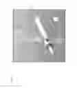 Fig. 02 - Brachytherapy applicator device for insertion in a body cavity