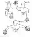 Fig. 08 - Multiple use exercise apparatus
