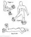 Fig. 09 - Multiple use exercise apparatus