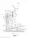 Fig. 06 - Elliptical exercise device
