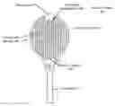 Fig. 01 - TENNIS RACKET HAVING AN OPTIMIZED STRIKING AREA