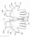 Fig. 04 - GOALKEEPER GLOVES WITH MAGNETS