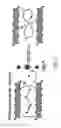 Fig. 08 - Polysulfide intercalated layered double hydroxides for metal capture applications