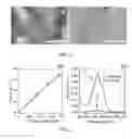 Fig. 06 - NANOPOROUS FILTRATION MEMBRANES