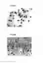 Fig. 05 - Method for producing a filter intended to filter nanoparticles, obtained filter and associated method for the collection and quantitative analysis of nanoparticles